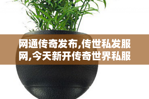 网通传奇发布,传世私发服网,今天新开传奇世界私服,传世私发服网