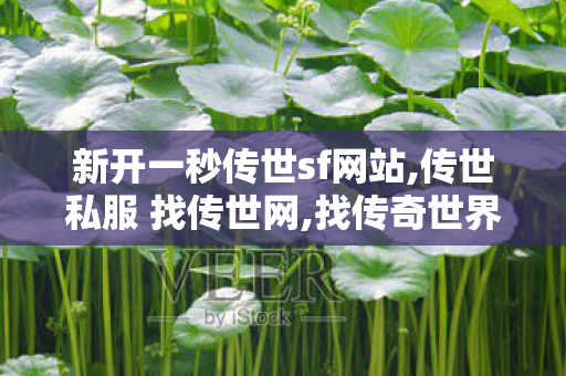 新开一秒传世sf网站,传世私服 找传世网,找传奇世界sf,传世私服 找传世网