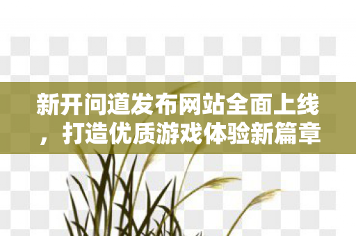 新开问道发布网站全面上线，打造优质游戏体验新篇章