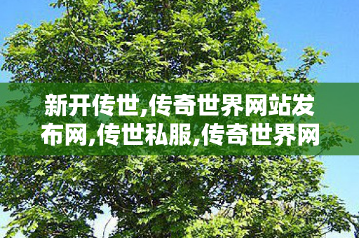 新开传世,传奇世界网站发布网,传世私服,传奇世界网站发布网