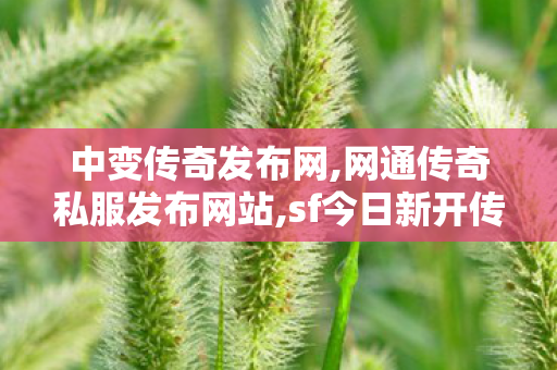 中变传奇发布网,网通传奇私服发布网站,sf今日新开传奇,网通传奇私服发布网站
