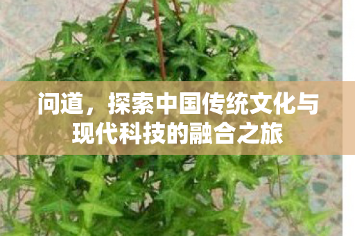 问道，探索中国传统文化与现代科技的融合之旅
