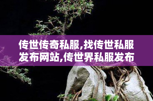 传世传奇私服,找传世私服发布网站,传世界私服发布网,找传世私服发布网站