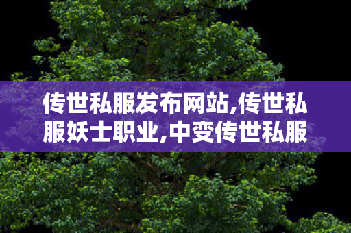 传世私服发布网站,传世私服妖士职业,中变传世私服,传世私服妖士职业