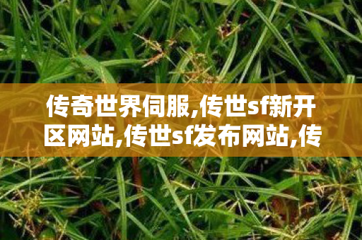 传奇世界伺服,传世sf新开区网站,传世sf发布网站,传世sf新开区网站