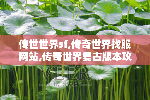 传世世界sf,传奇世界找服网站,传奇世界复古版本攻略,传奇世界找服网站