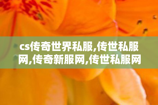 cs传奇世界私服,传世私服网,传奇新服网,传世私服网