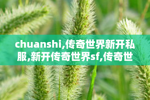 chuanshi,传奇世界新开私服,新开传奇世界sf,传奇世界新开私服