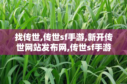 找传世,传世sf手游,新开传世网站发布网,传世sf手游