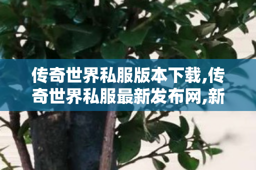 传奇世界私服版本下载,传奇世界私服最新发布网,新开传奇世界sf传世sf网站,传奇世界私服最新发布网