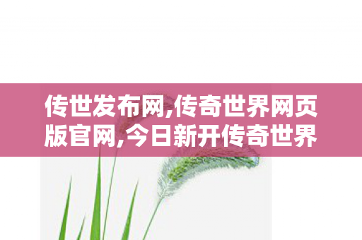 传世发布网,传奇世界网页版官网,今日新开传奇世界私服网站,传奇世界网页版官网