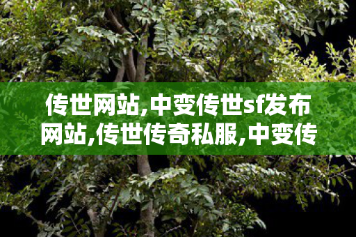 传世网站,中变传世sf发布网站,传世传奇私服,中变传世sf发布网站