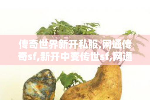 传奇世界新开私服,网通传奇sf,新开中变传世sf,网通传奇sf