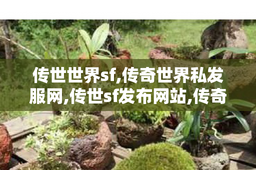 传世世界sf,传奇世界私发服网,传世sf发布网站,传奇世界私发服网