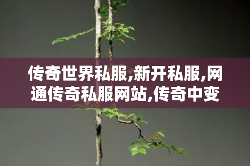 传奇世界私服,新开私服,网通传奇私服网站,传奇中变sf发布网,网通传奇私服网站
