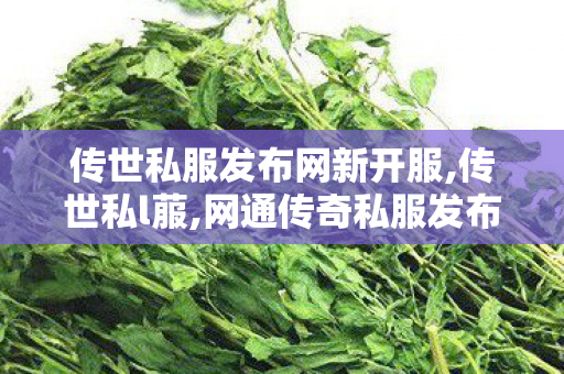 传世私服发布网新开服,传世私l菔,网通传奇私服发布网,传世私l菔