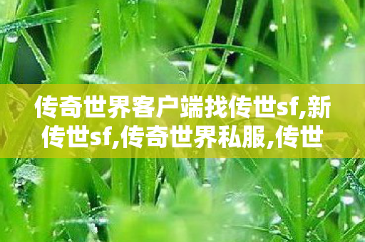 传奇世界客户端	找传世sf,新传世sf,传奇世界私服,传世私服,新传世sf