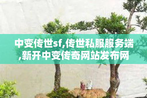 中变传世sf,传世私服服务端,新开中变传奇网站发布网,传世私服服务端
