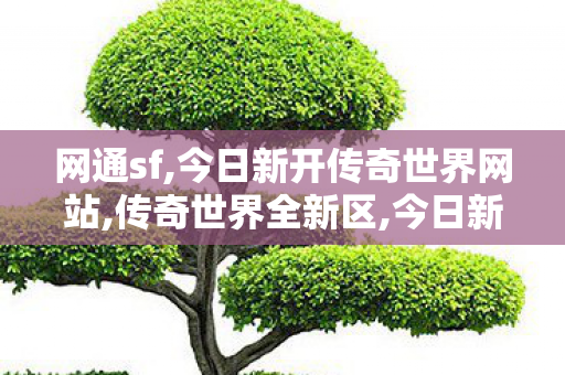 网通sf,今日新开传奇世界网站,传奇世界全新区,今日新开传奇世界网站