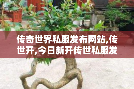 传奇世界私服发布网站,传世开,今日新开传世私服发布网,传世开