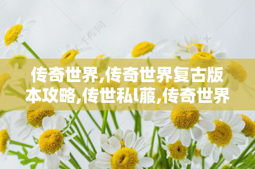 传奇世界,传奇世界复古版本攻略,传世私l菔,传奇世界复古版本攻略
