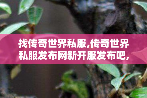 找传奇世界私服,传奇世界私服发布网新开服发布吧,传世私服发布网站大全,传奇世界私服发布网新开服发布吧