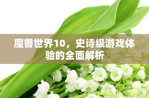 魔兽世界10，史诗级游戏体验的全面解析