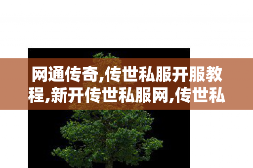 网通传奇,传世私服开服教程,新开传世私服网,传世私服开服教程