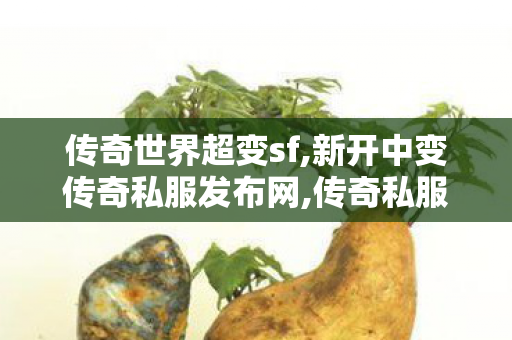 传奇世界超变sf,新开中变传奇私服发布网,传奇私服发布网官网,新开中变传奇私服发布网