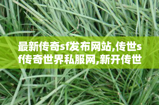 最新传奇sf发布网站,传世sf传奇世界私服网,新开传世私服中变,传世sf传奇世界私服网