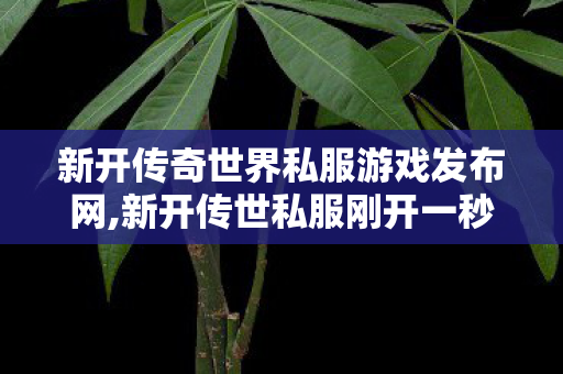 新开传奇世界私服游戏发布网,新开传世私服刚开一秒,找服网sf,新开传世私服刚开一秒