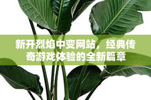 新开烈焰中变网站，经典传奇游戏体验的全新篇章