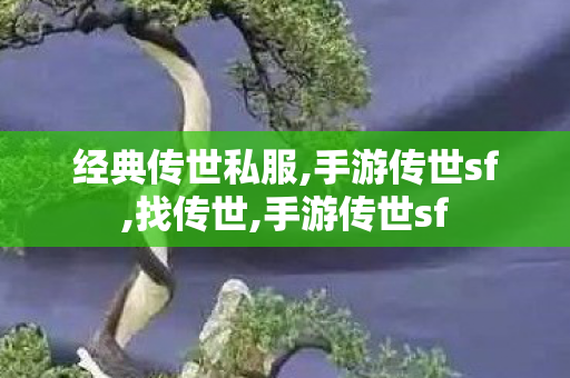 经典传世私服,手游传世sf,找传世,手游传世sf