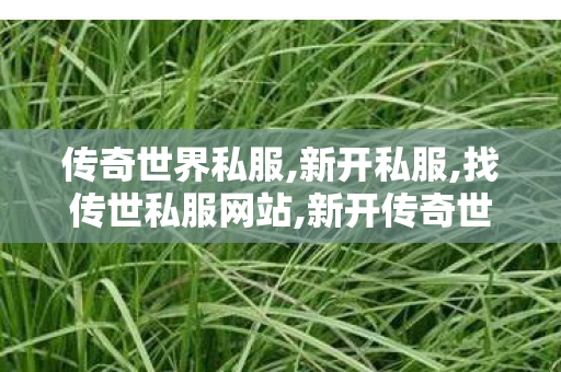 传奇世界私服,新开私服,找传世私服网站,新开传奇世界sf网站,找传世私服网站