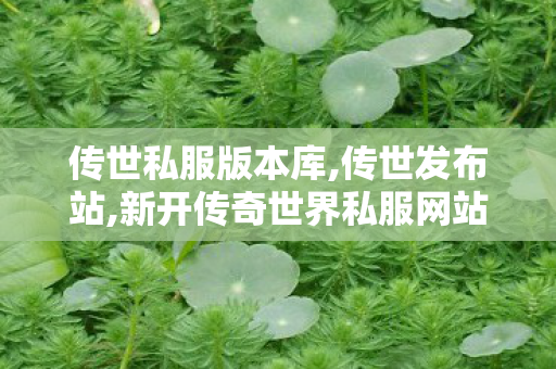 传世私服版本库,传世发布站,新开传奇世界私服网站发布网,传世发布站