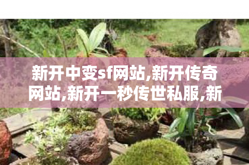 新开中变sf网站,新开传奇网站,新开一秒传世私服,新开传奇网站