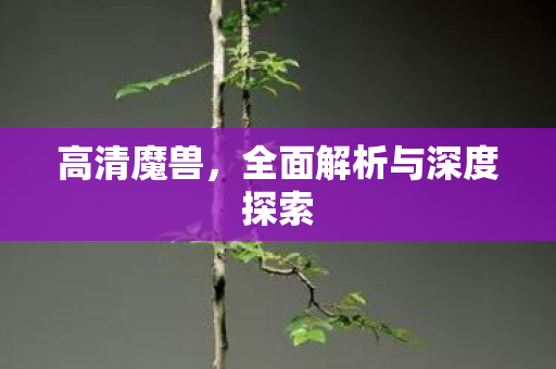 高清魔兽，全面解析与深度探索