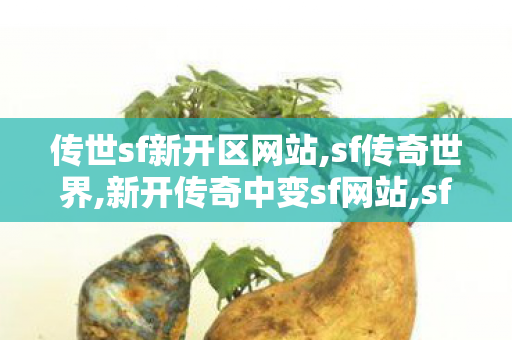 传世sf新开区网站,sf传奇世界,新开传奇中变sf网站,sf传奇世界