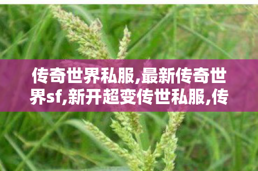 传奇世界私服,最新传奇世界sf,新开超变传世私服,传奇私服发布网官网,新开超变传世私服