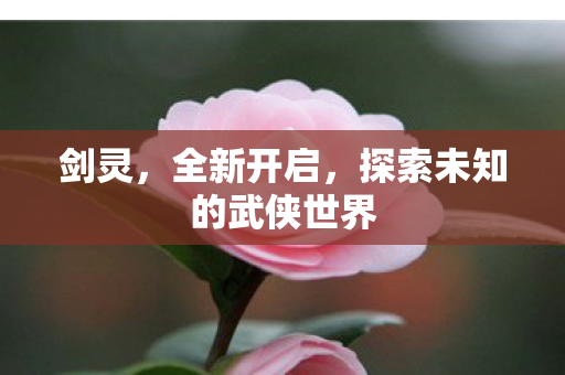 剑灵，全新开启，探索未知的武侠世界