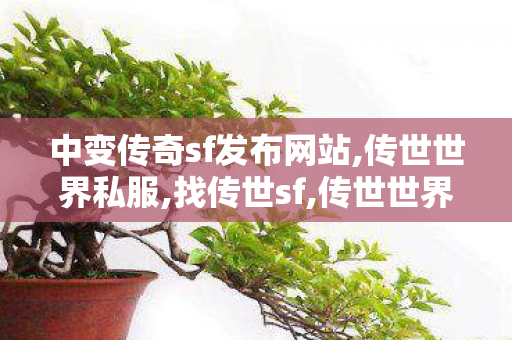 中变传奇sf发布网站,传世世界私服,找传世sf,传世世界私服