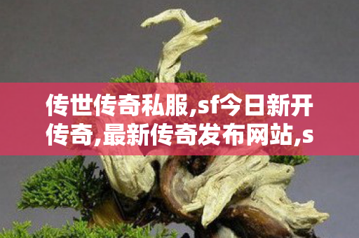 传世传奇私服,sf今日新开传奇,最新传奇发布网站,sf今日新开传奇