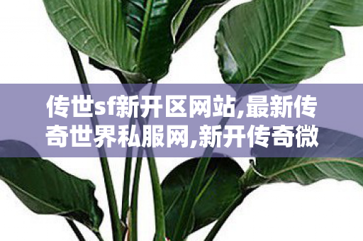 传世sf新开区网站,最新传奇世界私服网,新开传奇微变网站,最新传奇世界私服网