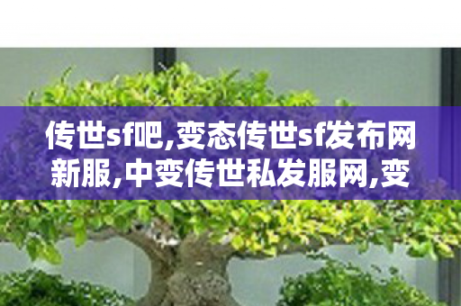 传世sf吧,变态传世sf发布网新服,中变传世私发服网,变态传世sf发布网新服