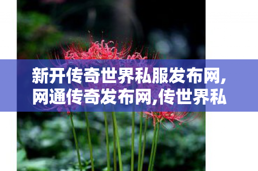 新开传奇世界私服发布网,网通传奇发布网,传世界私服,网通传奇发布网