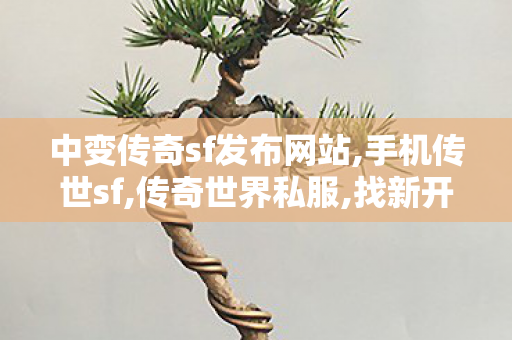 中变传奇sf发布网站,手机传世sf,传奇世界私服,找新开传世私服,手机传世sf
