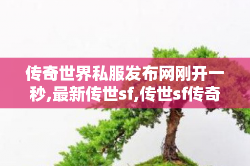 传奇世界私服发布网刚开一秒,最新传世sf,传世sf传奇世界私服网,最新传世sf