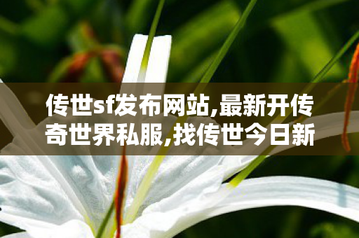 传世sf发布网站,最新开传奇世界私服,找传世今日新开,最新开传奇世界私服