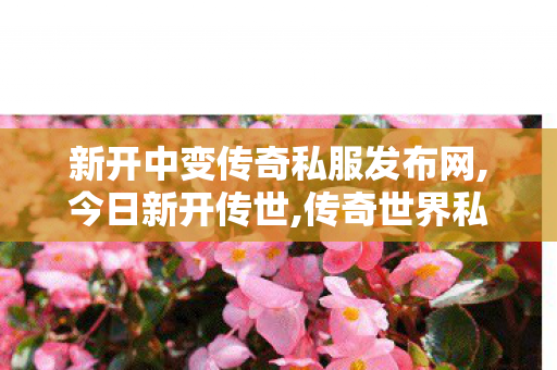 新开中变传奇私服发布网,今日新开传世,传奇世界私服新开传世私服发布网,今日新开传世