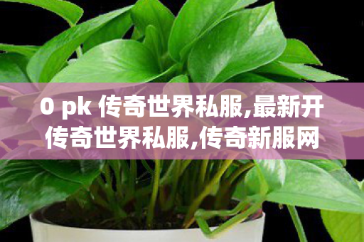 0 pk 传奇世界私服,最新开传奇世界私服,传奇新服网发布网,最新开传奇世界私服